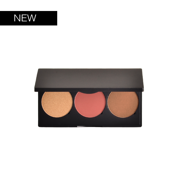 Pro Cheek Palette